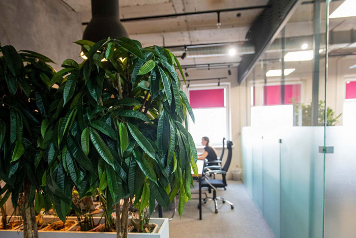 сокращаются сроки действия SSL-сертификатов и к чему готовиться бизнесу